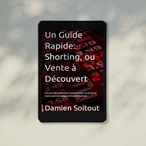 un guide rapide, livre de finances, livres pour investir, damien soitout, vente à découvert, shorting